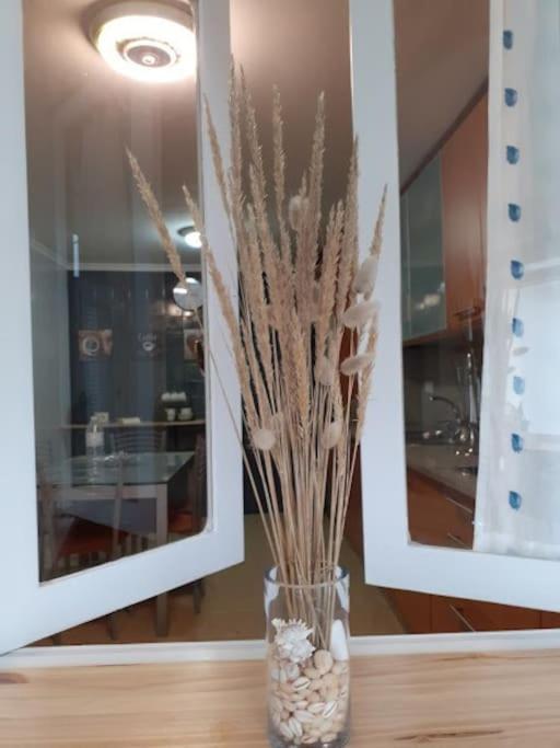 Casa Aurea Βίλα O Grove Εξωτερικό φωτογραφία